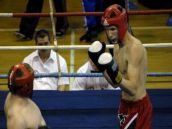 Kickboxeri Trnavy s pódiovým umiestnením